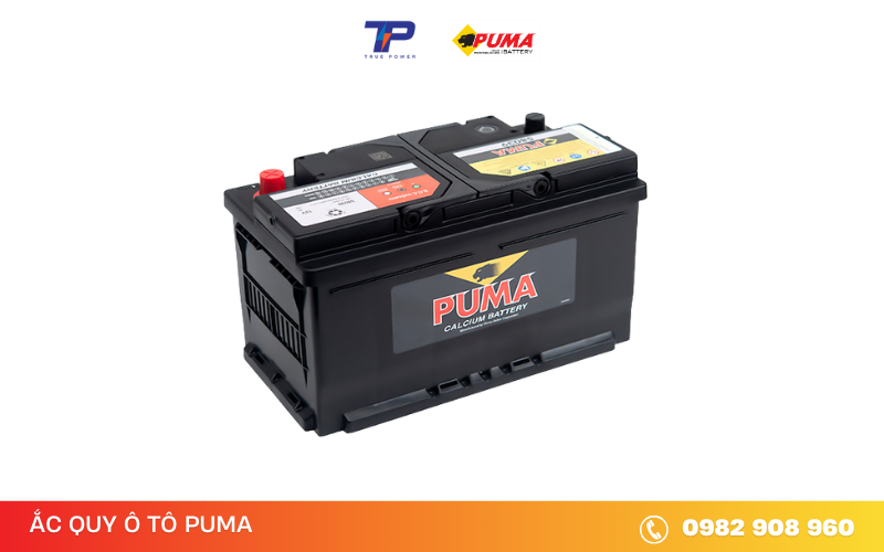 ac-quy-puma-58039