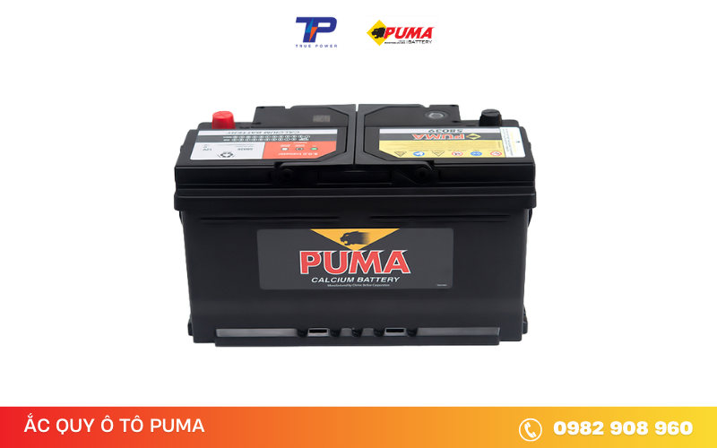 ac-quy-puma-58039