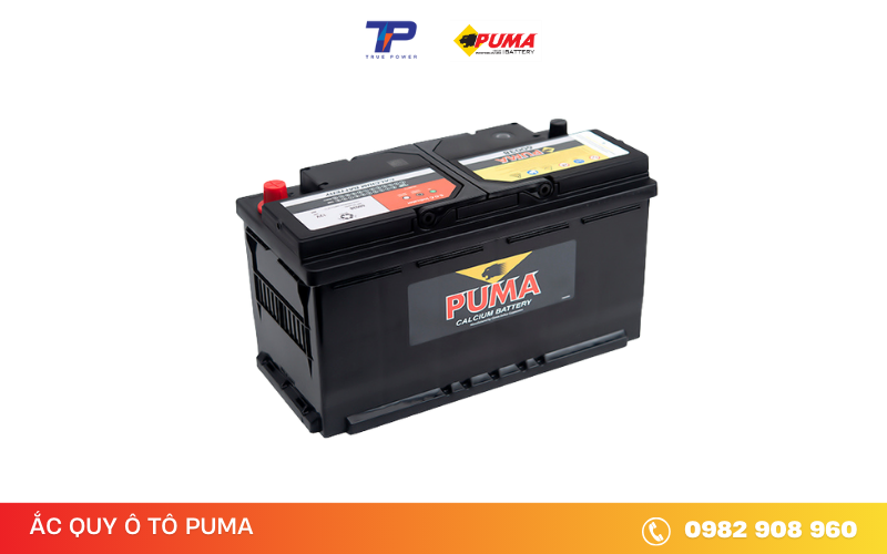ac-quy-puma-60038