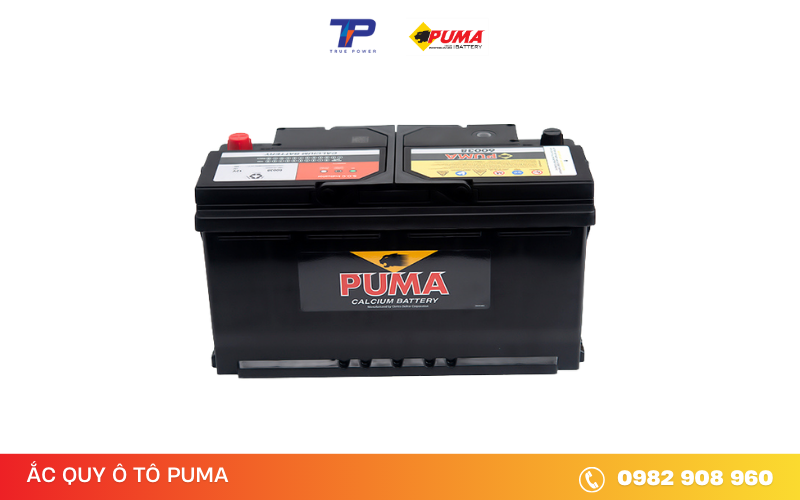ac-quy-puma-60038