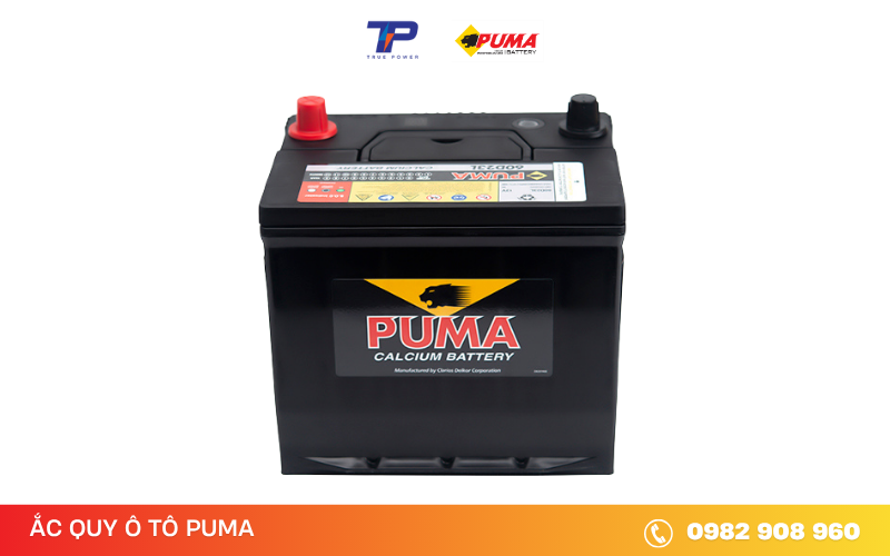 ac-quy-puma-60d23l