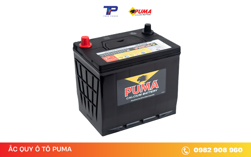 ac-quy-puma-60d23l