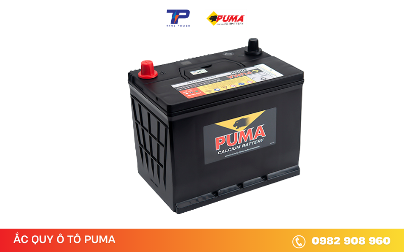 ac-quy-puma-80d26l