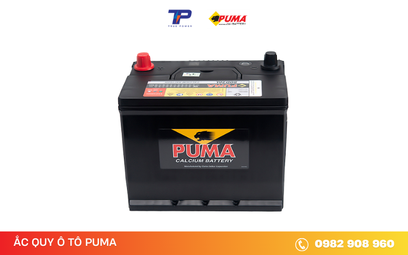 ac-quy-puma-80d26l