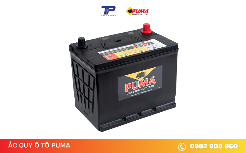 ac-quy-puma-80d26r
