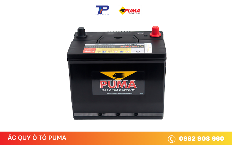 ac-quy-puma-80d26r