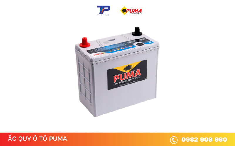 ac-quy-puma-efb-N-55L-80B24L
