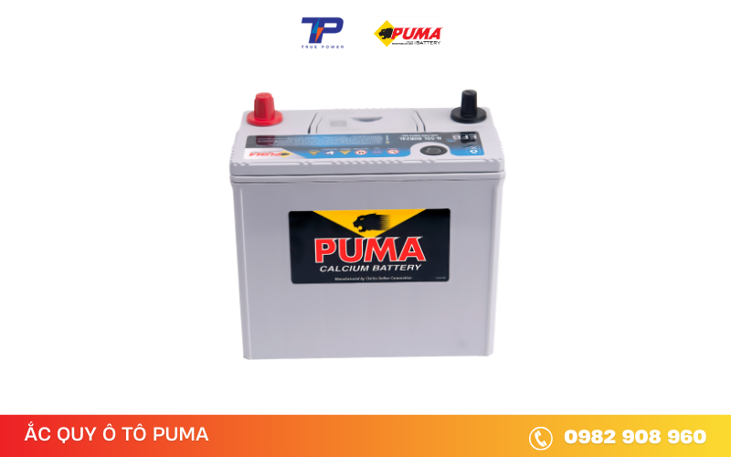 ac-quy-puma-efb-N-55L-80B24L