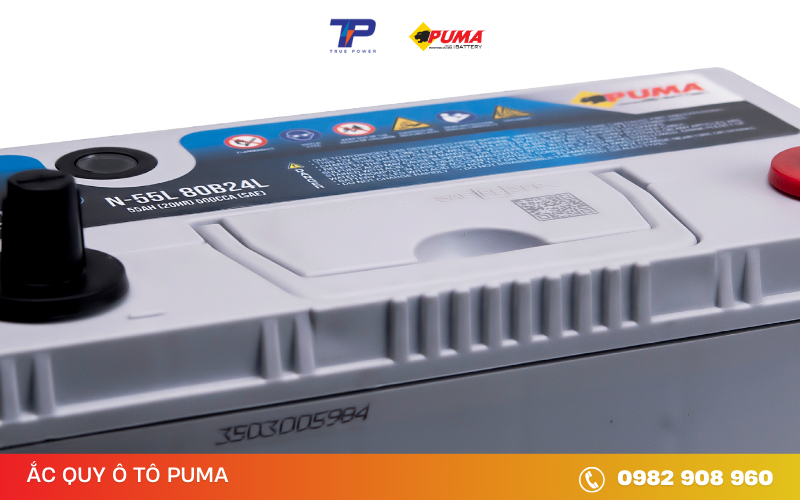 ac-quy-puma-efb-N-55L-80B24L
