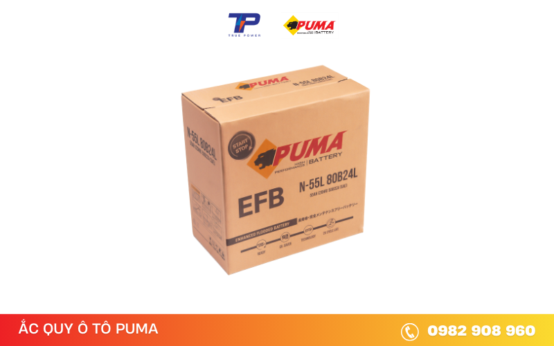 ac-quy-puma-efb-N-55L-80B24L