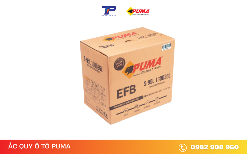 ac-quy-puma-efb-S-95-130D26L