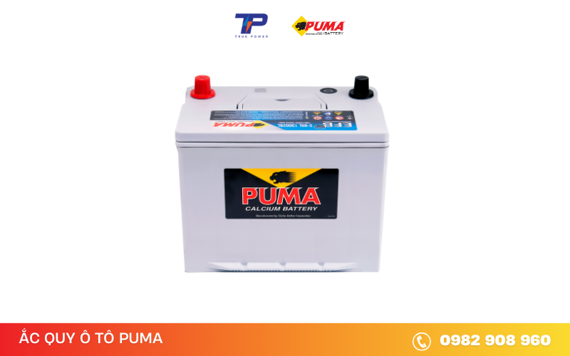 ac-quy-puma-efb-S-95-130D26L