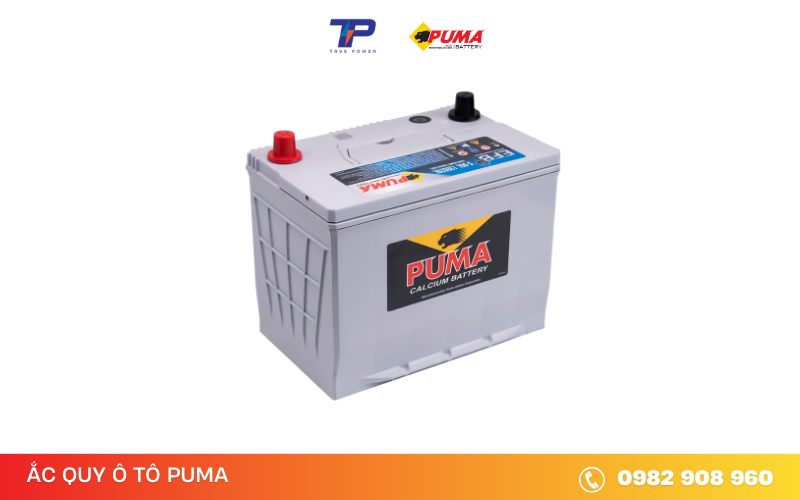 ac-quy-puma-efb-S-95-130D26L