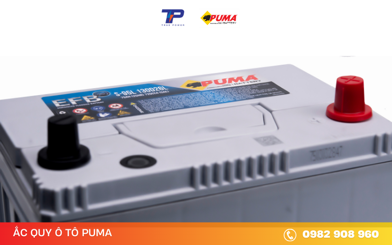 ac-quy-puma-efb-S-95-130D26L