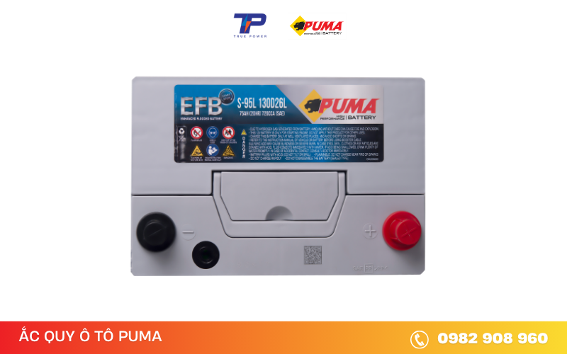 ac-quy-puma-efb-S-95-130D26L