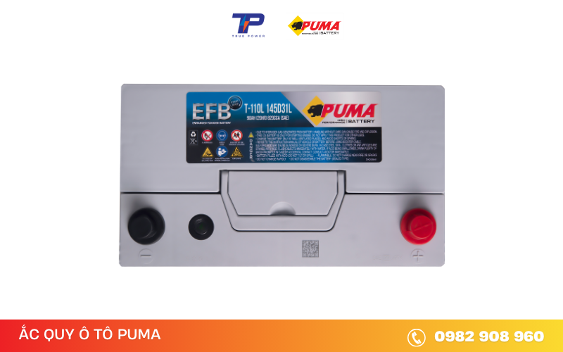 ac-quy-puma-efb-T‑110 (145D31L)