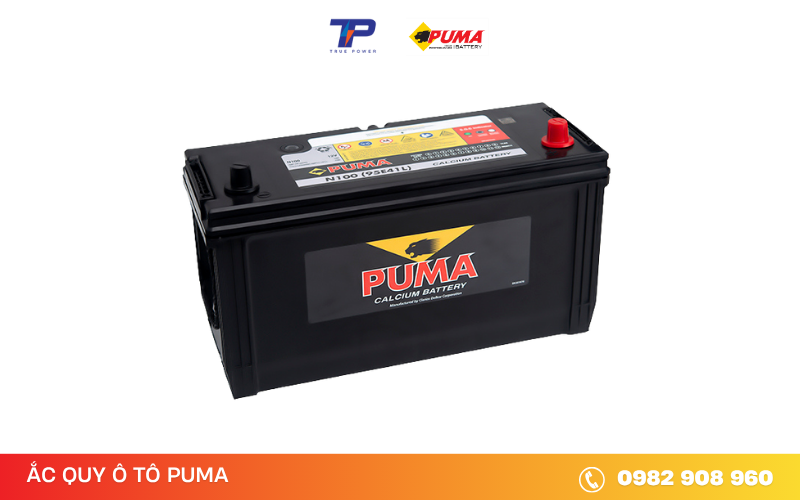 ac-quy-puma-n100-95E41L