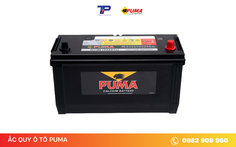 ac-quy-puma-n100-95E41L