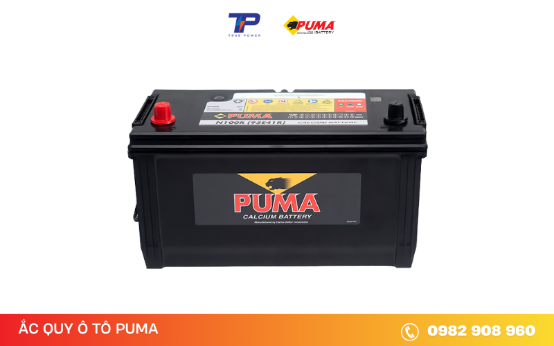 ac-quy-puma-n100r (95E41R)