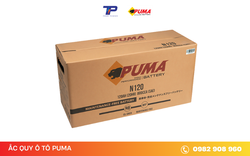 ac-quy-puma-n120