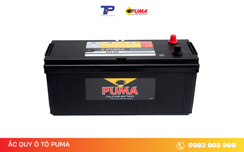 ac-quy-puma-n120