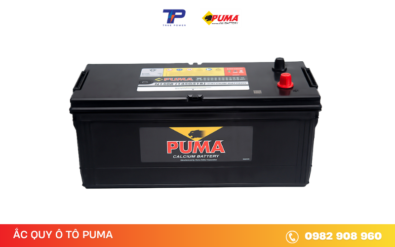 ac-quy-puma-n150R
