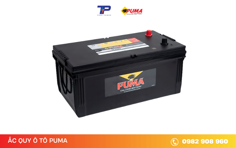 ac-quy-puma-n200