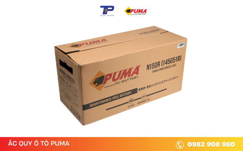 ac-quy-puma-n200