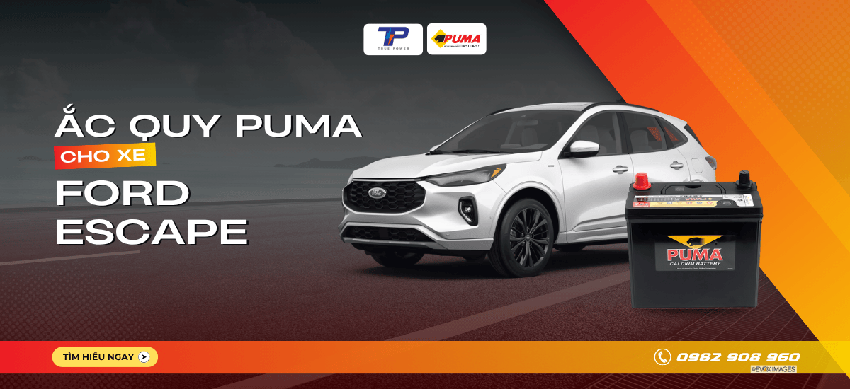 Ắc quy xe Ford Escape: Bảng giá và thông số kỹ thuật