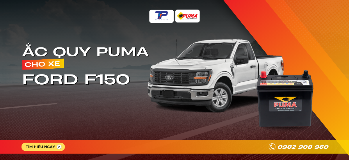 Ắc quy xe Ford F150: Bảng giá và thông số kỹ thuật