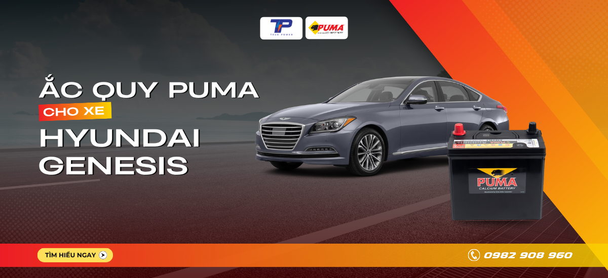 Ắc quy xe Hyundai Genesis: Bảng giá và thông số kỹ thuật