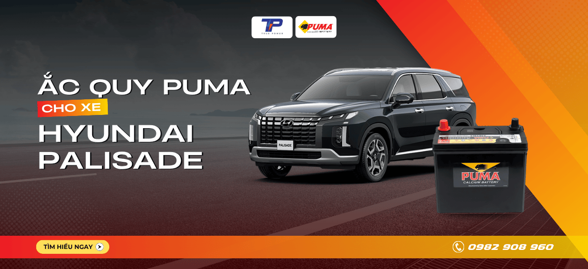 Ắc quy xe Hyundai Palisade: Bảng giá và thông số kỹ thuật