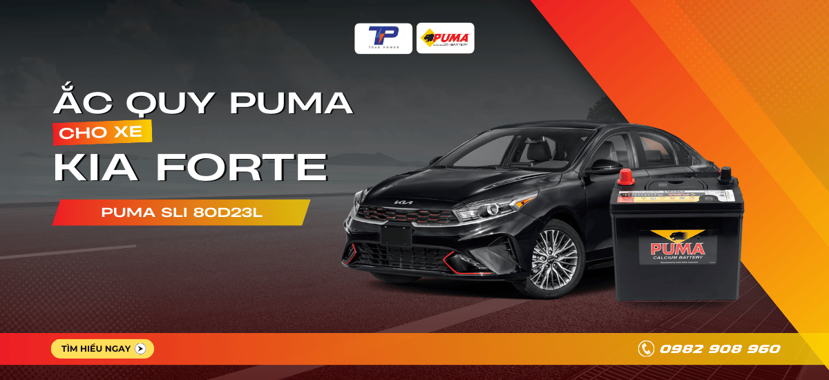 Ắc quy xe Kia Forte: Bảng giá và thông số kỹ thuật
