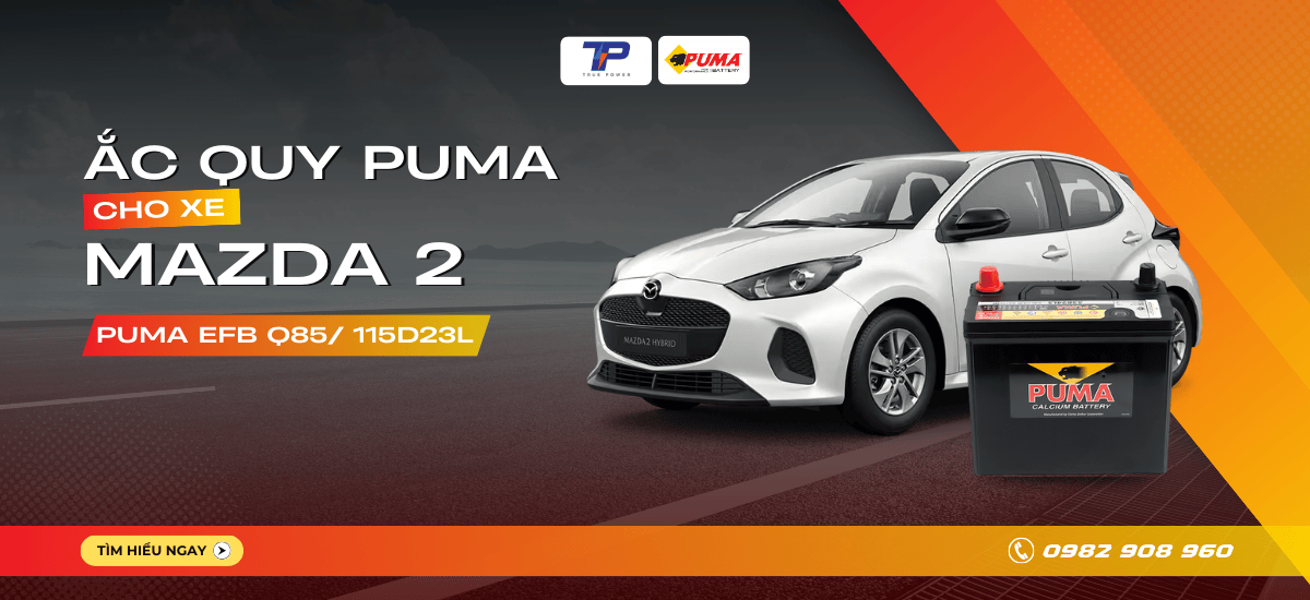 Ắc quy xe Mazda 2: Bảng giá và thông số kỹ thuật