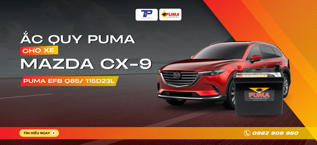 Ắc quy xe Mazda CX-9: Bảng giá và thông số kỹ thuật