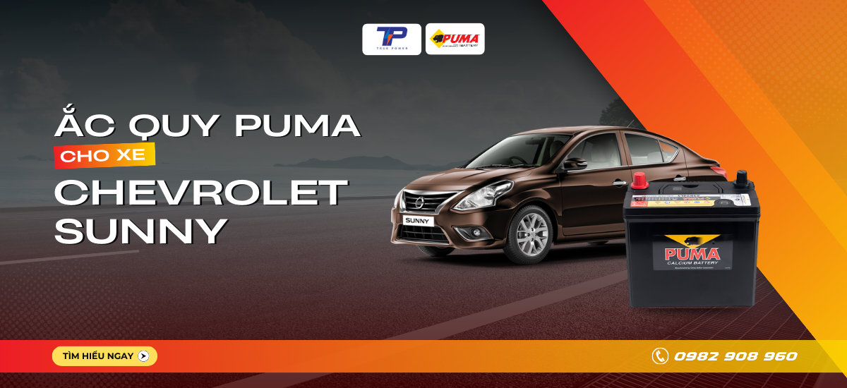 Ắc quy xe Nissan Sunny: Bảng giá và thông số kỹ thuật