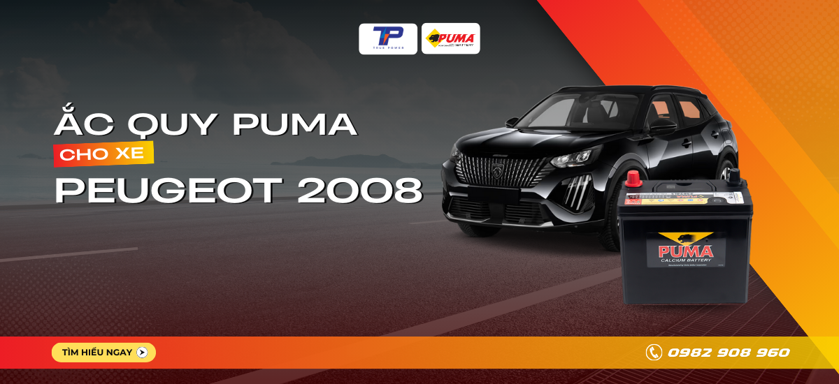 Ắc quy xe Peugeot 2008: Bảng giá và thông số kỹ thuật