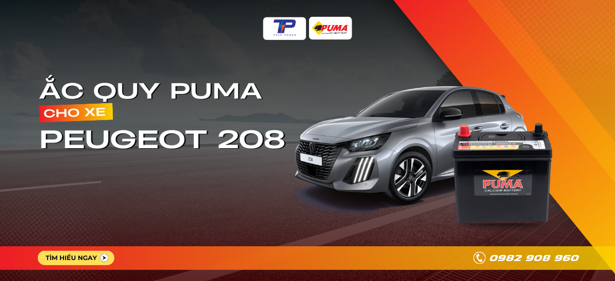 Ắc quy xe Peugeot 208: Bảng giá và thông số kỹ thuật