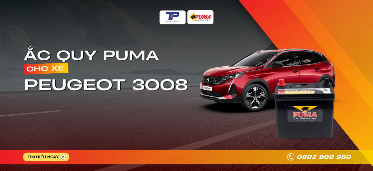 Ắc quy xe Peugeot 3008: Bảng giá và thông số kỹ thuật
