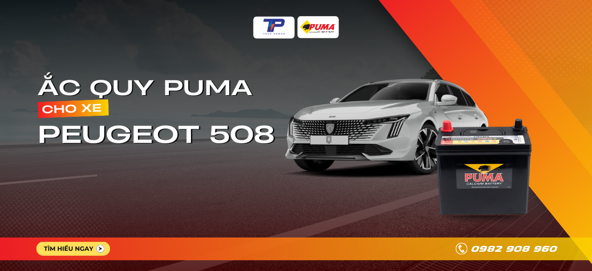 Ắc quy xe Peugeot 508: Bảng giá và thông số kỹ thuật