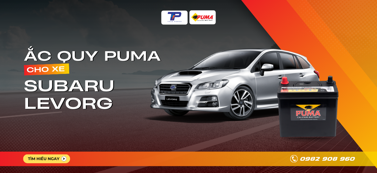 Ắc quy xe Ắc quy xe Subaru Levorg: Bảng giá và thông số kỹ thuật