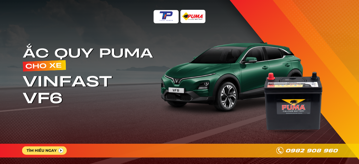 Ắc quy xe VinFast VF 6: Bảng giá và thông số kỹ thuật