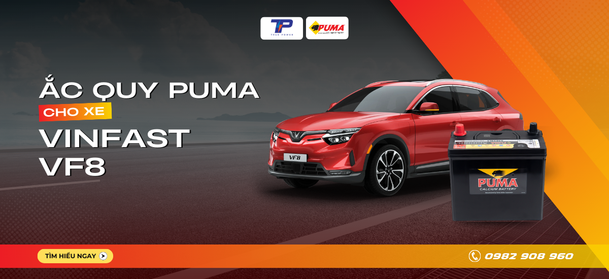 Ắc quy xe VinFast VF 8: Bảng giá và thông số kỹ thuật