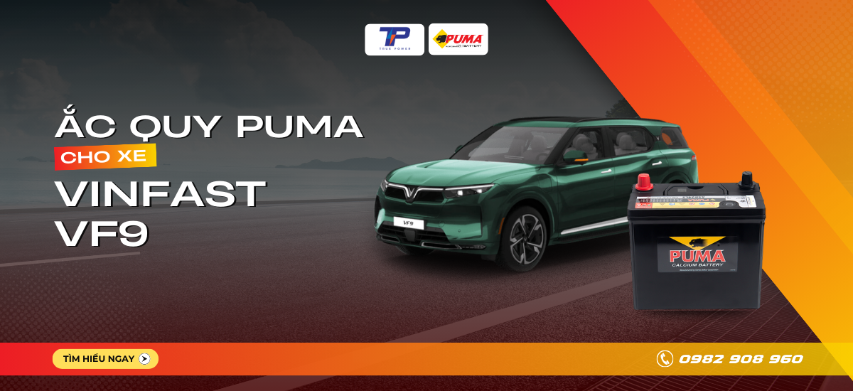 Ắc quy xe VinFast VF 9: Bảng giá và thông số kỹ thuật