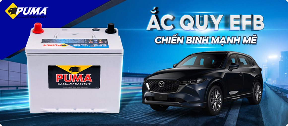 Công nghệ EFB 