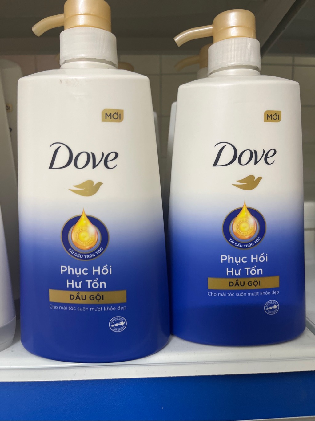 DOVE