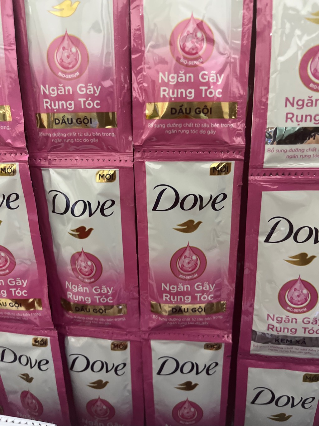 DOVE