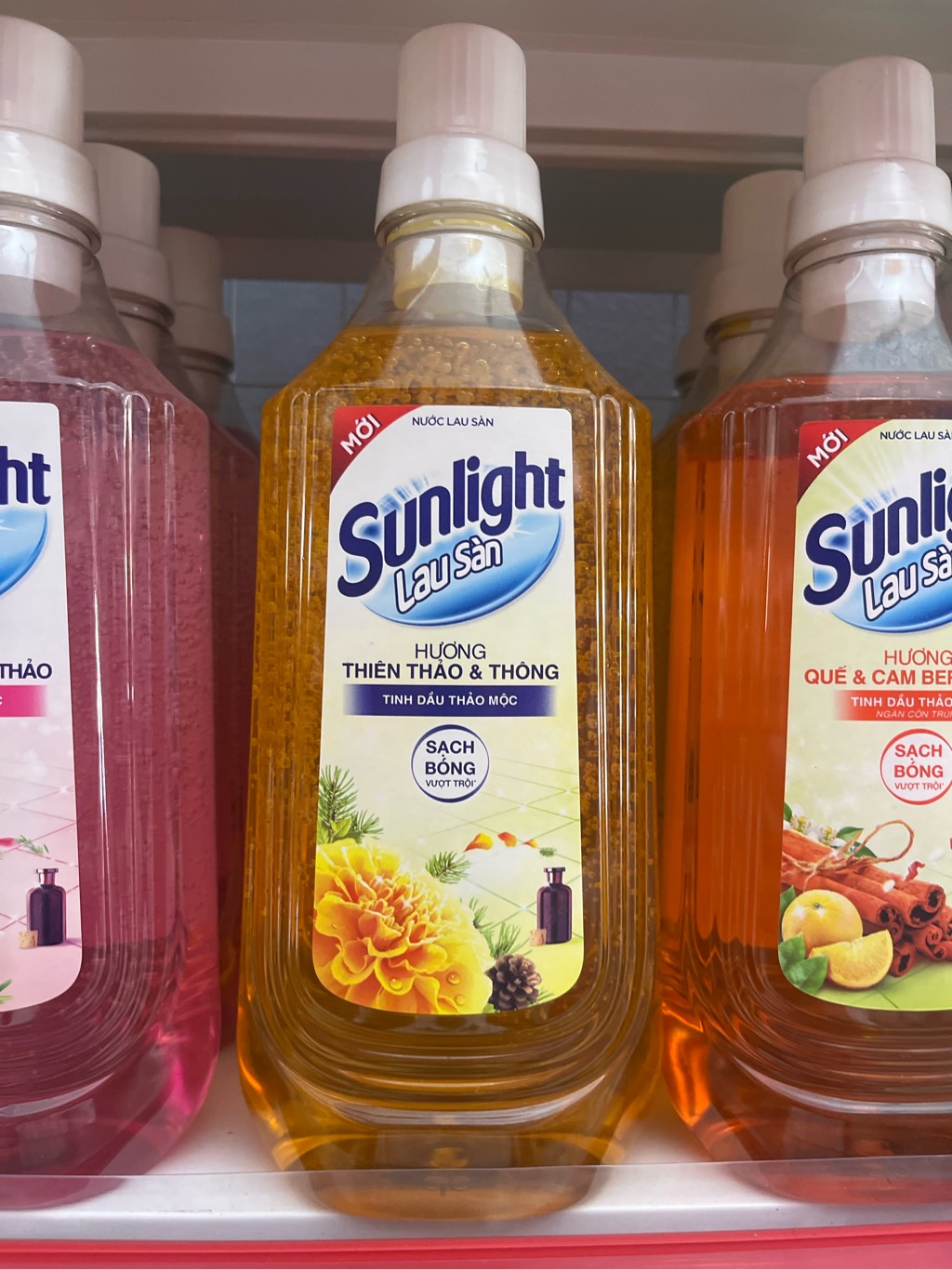 SUNLIGHT
