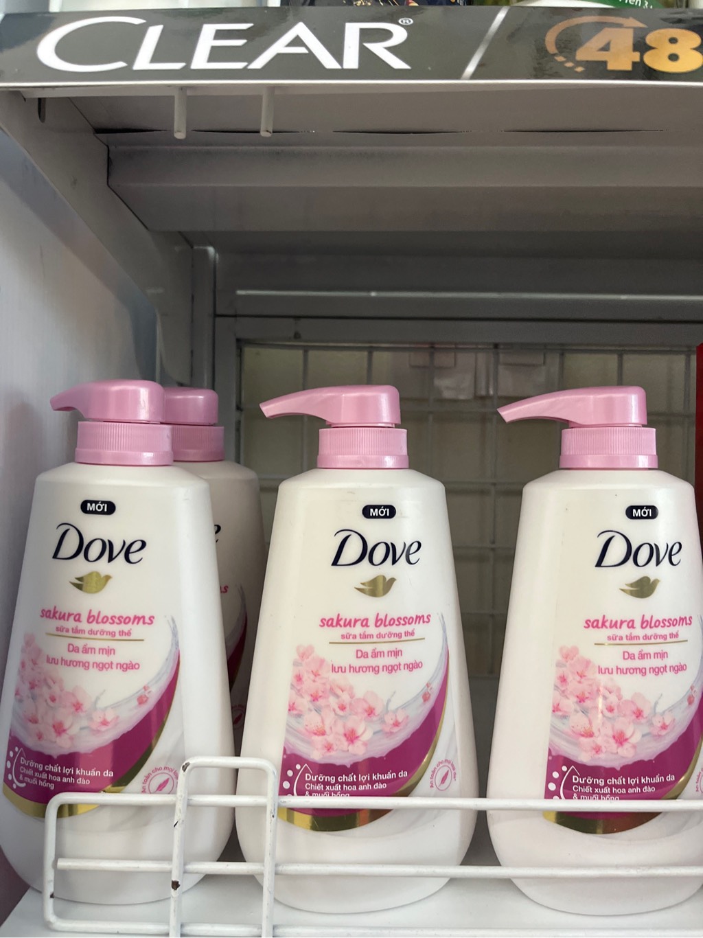 DOVE