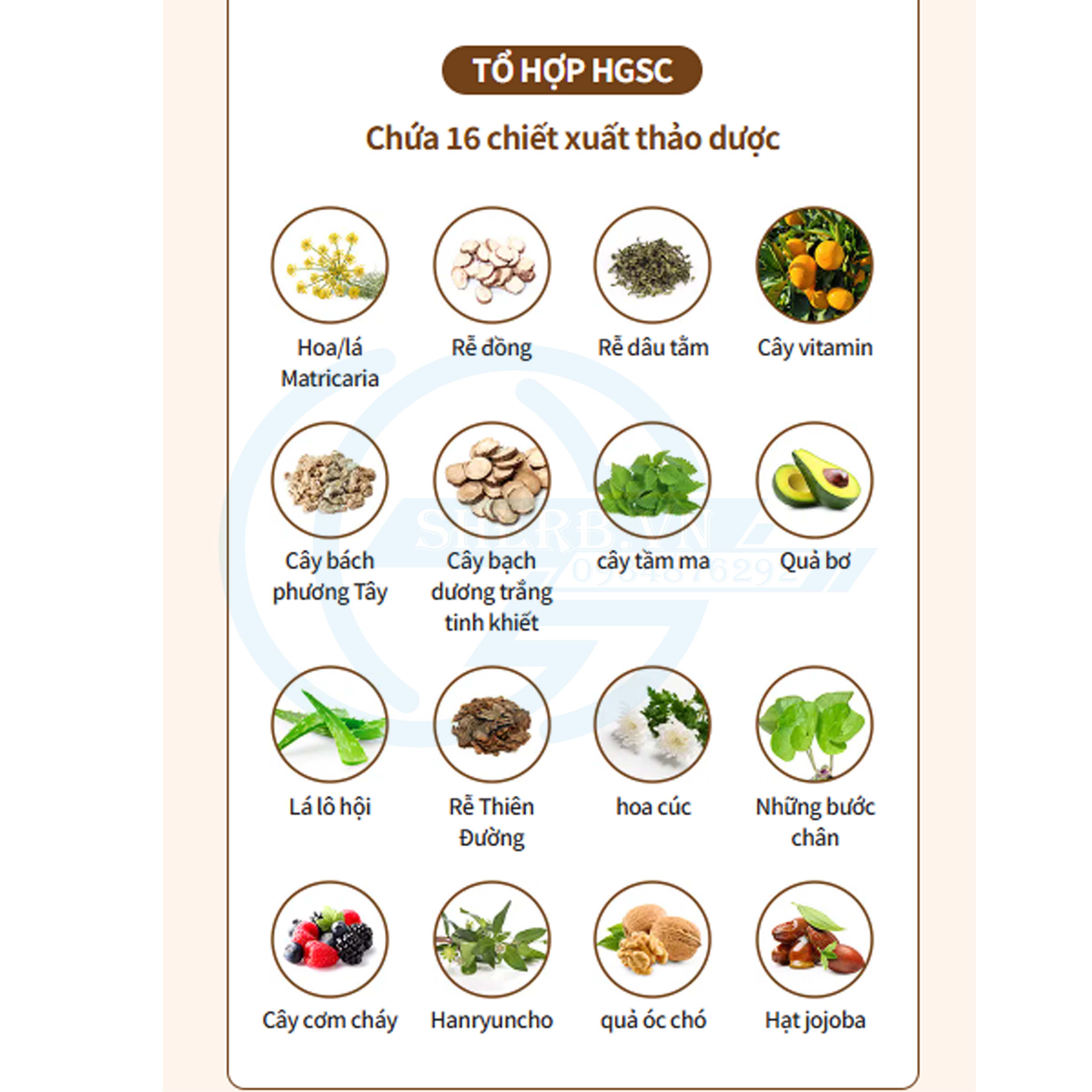 [SHERB] Dầu gội Thảo Dược Atomy Herbal Hair Shapoo 500ml